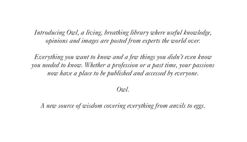AOL  (Owl Website)