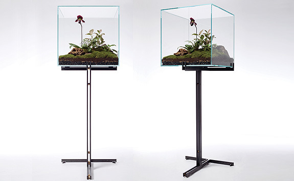 Terrarium